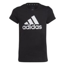 Camiseta Algodão Essentials Big Logo – Adidas