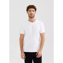 Camiseta Básica Masculina Flamê Com Decote V Hering