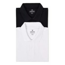 Kit Com 2 Camisas Polo Básicas Masculinas Hering